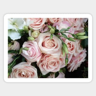 Paris Pink Valentine's Day Roses Sticker